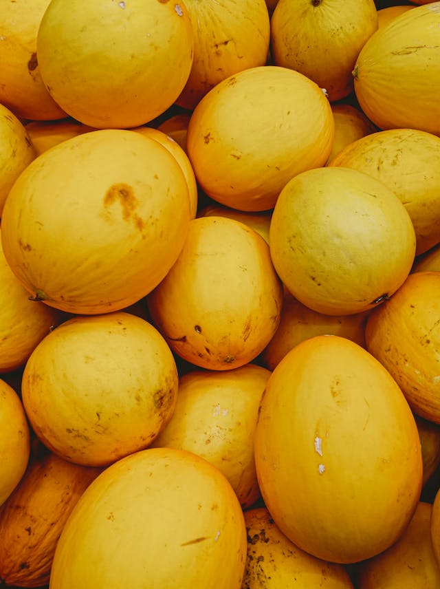 Ripe Melon