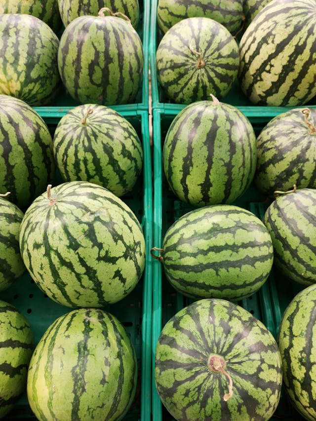 Watermelons